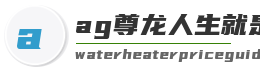 ag尊龙人生就是博